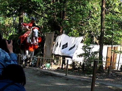 163_6395.jpg