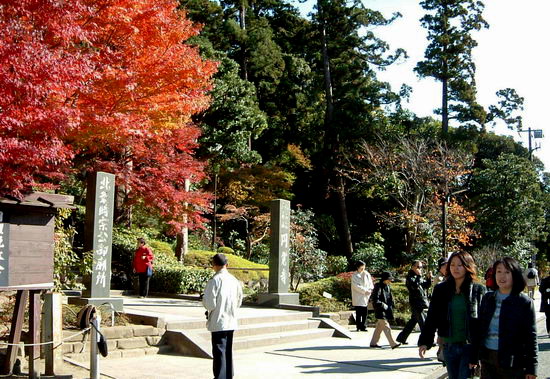 11330_001.jpg