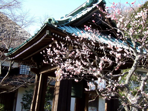 C060315_04.jpg