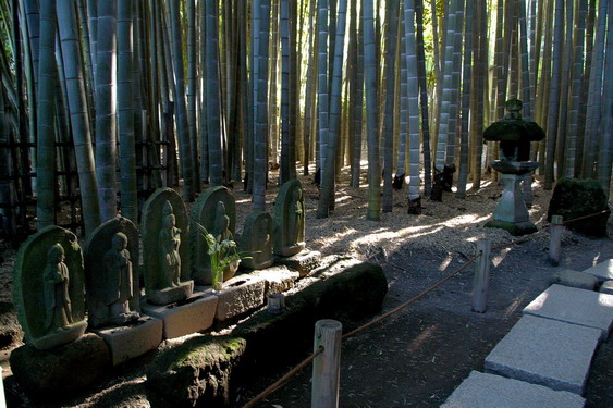 񍑎_01.jpg
