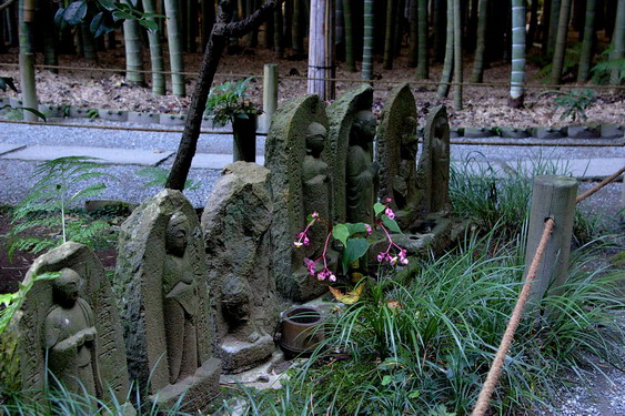 񍑎_02.jpg