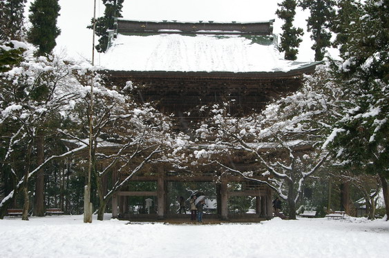 円覚寺の雪景色_10.jpg