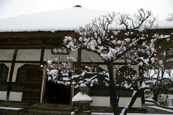 円覚寺の雪景色_12.jpg