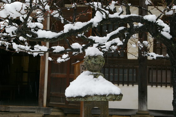 円覚寺の雪景色_13.jpg