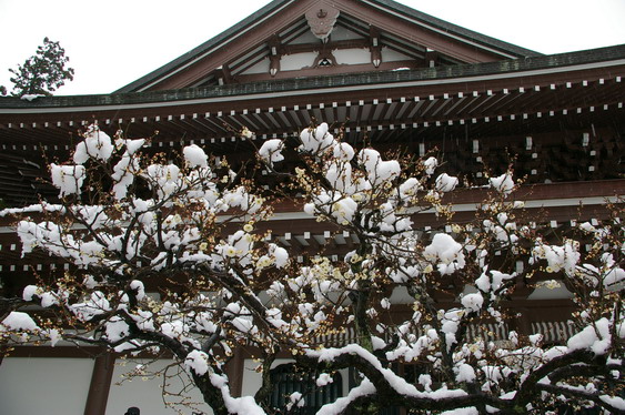 円覚寺の雪景色_15.jpg