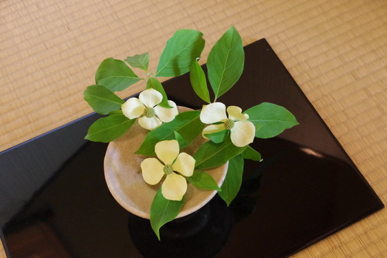 東慶寺の二人の和紙展_03.jpg