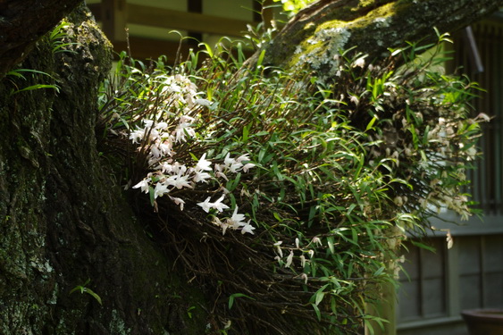 東慶寺の二人の和紙展_06.jpg