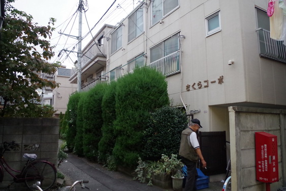 荻窪のさくら荘_11.jpg