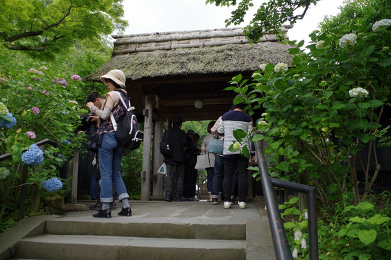 東慶寺はお茶会が占領中_01.jpg