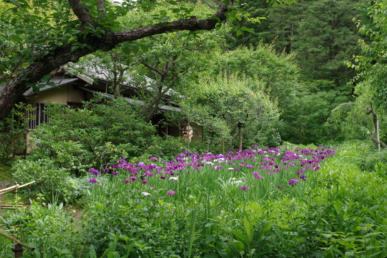 東慶寺はお茶会が占領中_04.jpg