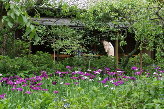東慶寺はお茶会が占領中_05.jpg