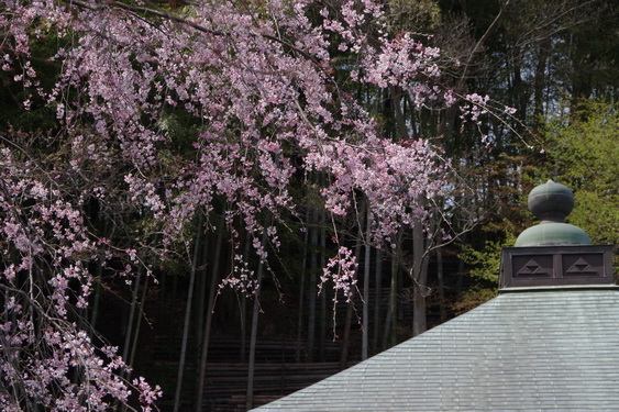 c͖{̎}J_16.jpg