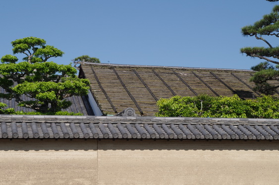 法隆寺_08.jpg