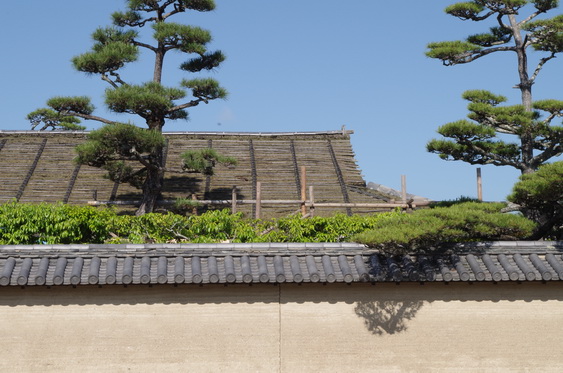 法隆寺_09.jpg