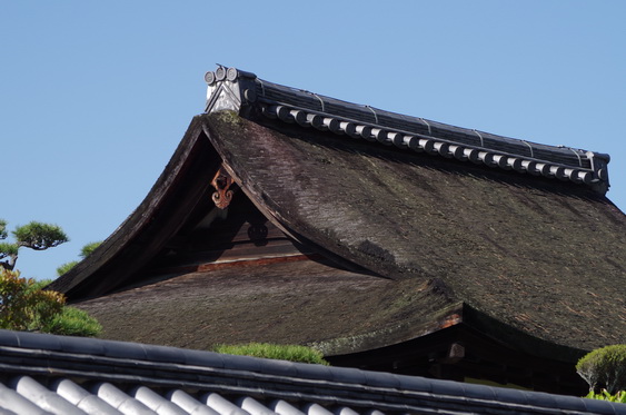 法隆寺_11.jpg