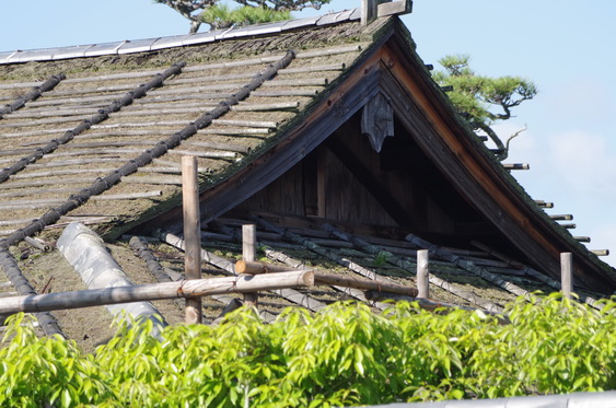 法隆寺_12.jpg