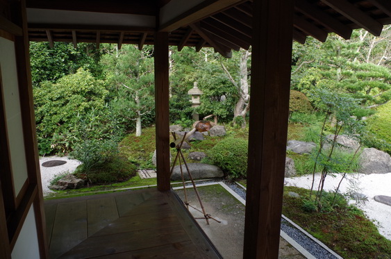 某お嬢の浄妙寺墓参_12.jpg