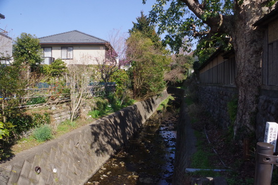 誰かさんのリクエストの小径_04.jpg