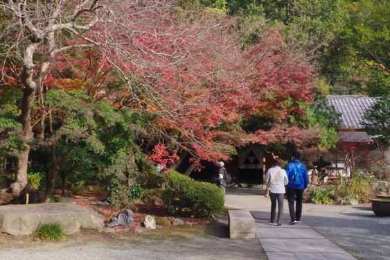 鎌倉考古研・現地見学会_03.jpg
