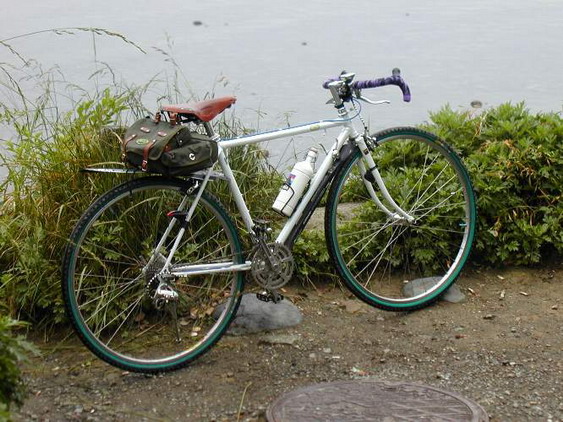 s015.jpg